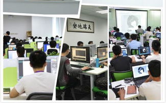 红鸟网络科技CEO姚则国荣获德勤深圳明日之星，引领网络信息技术创新